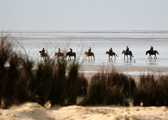 Wattreiter vor Cuxhaven