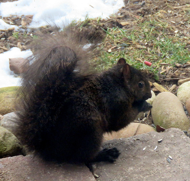 On our patio