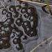 Frogspawn a wider view