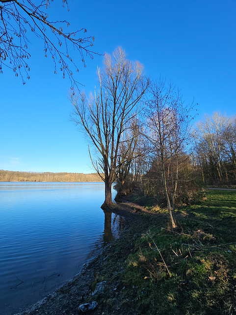 Köln Dellbrück - Höhenfelder See