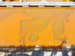 whn[25] - truly "OrangeHaven" in June 2025 {2 of 3}