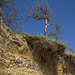 Cliff erosion 1