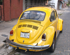 VW jaune / Yellow wonder