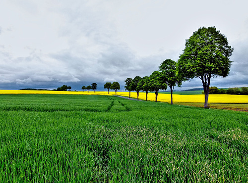 Die Farben der Natur