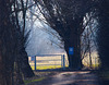 Frühling im Anmarsch HFF!