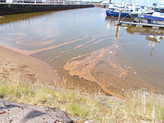 whn[25] - truly "OrangeHaven" in June 2025 {3 of 3}