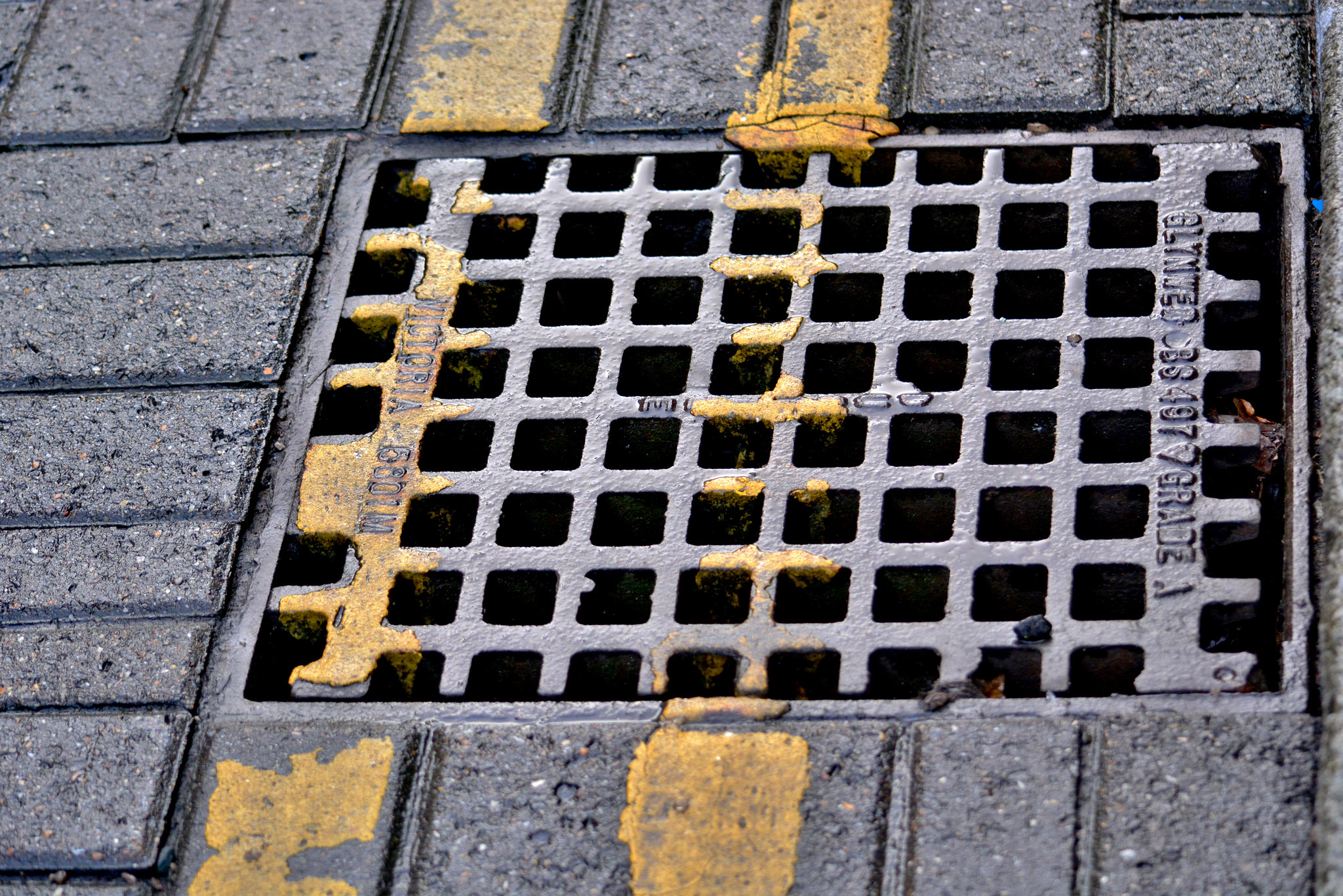Double Yellow Lines