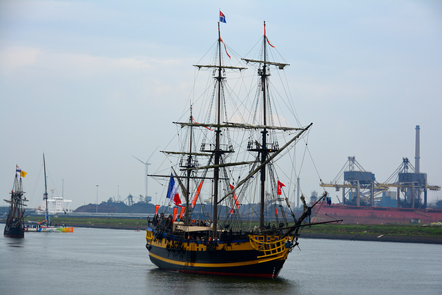 Sail 2015 – Etoile du Roy