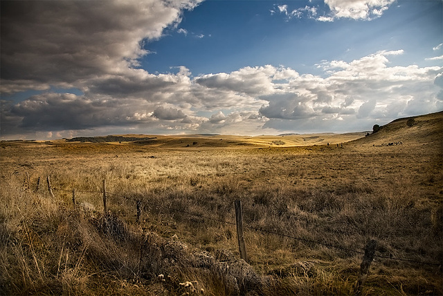 AUBRAC