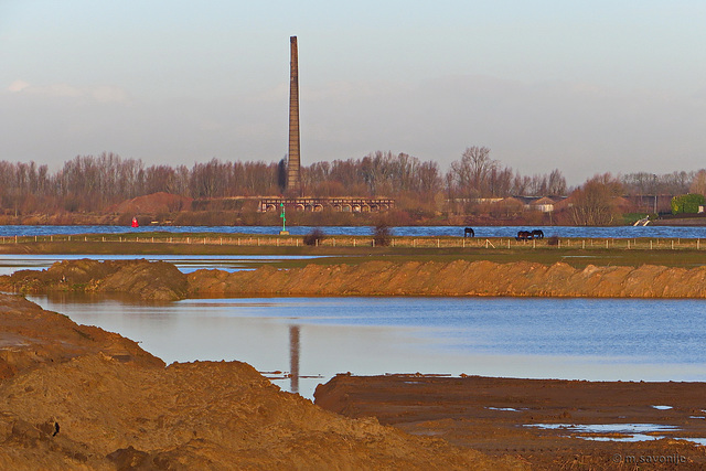 Ochtendzon over de Waal