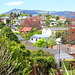 View of Dunedin