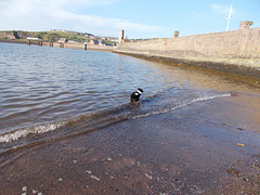 BtC - getting braver ! {1 of 2}