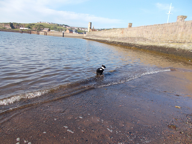 BtC - getting braver ! {1 of 2}