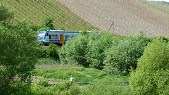 Weinbergverkehr