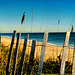 Beach fence