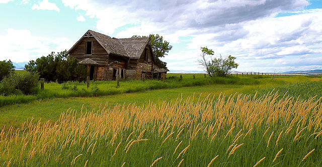 Alberta