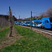 BÖ0036851