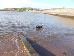 BtC - getting braver ! {2 of 2}