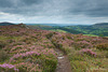 The Rock, Shropshire.