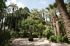 El Palmeral