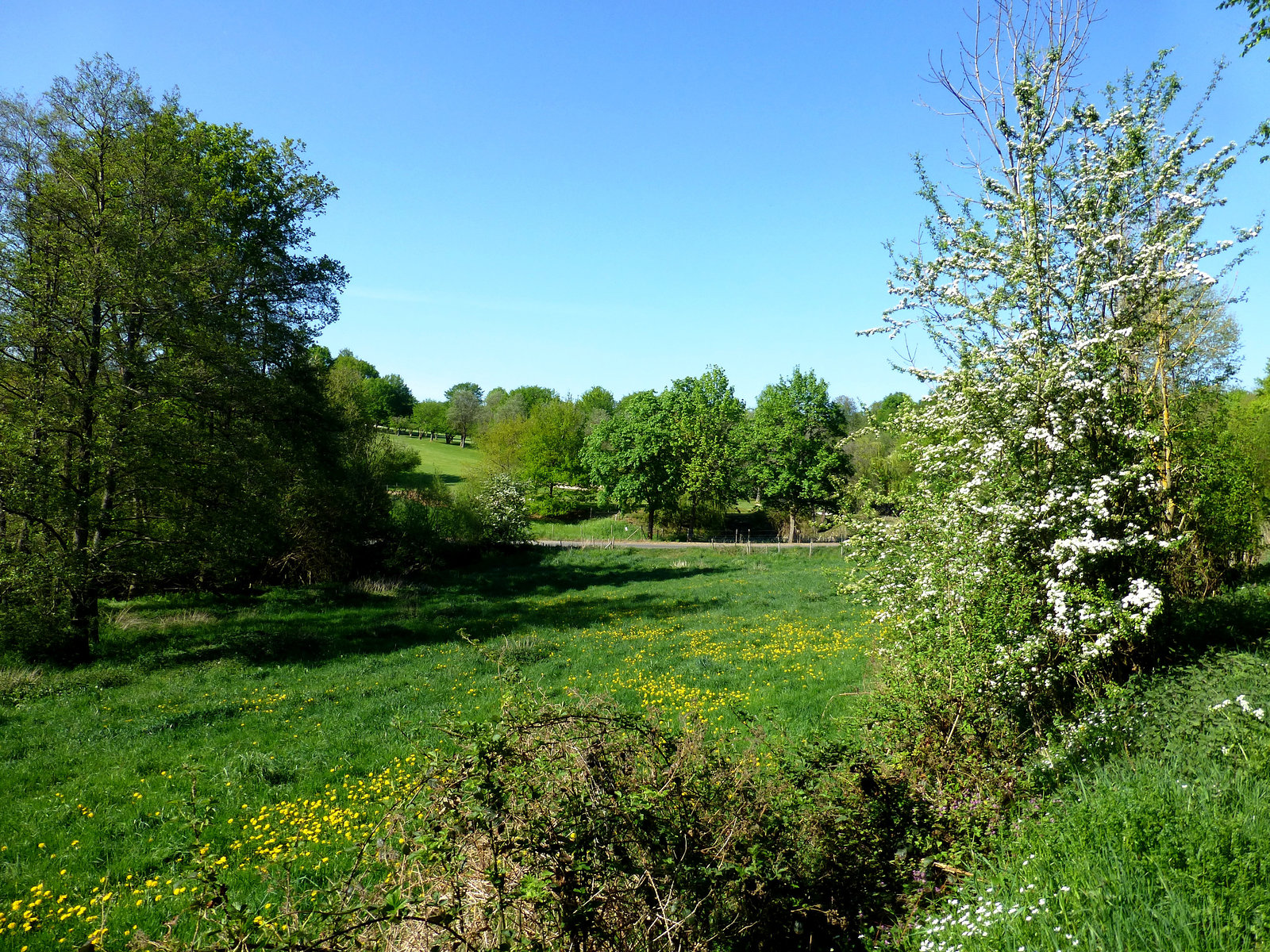 Frühlingslandschaft