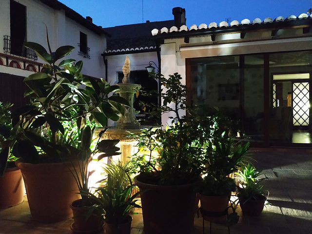 Godella (Valencia): patio interior
