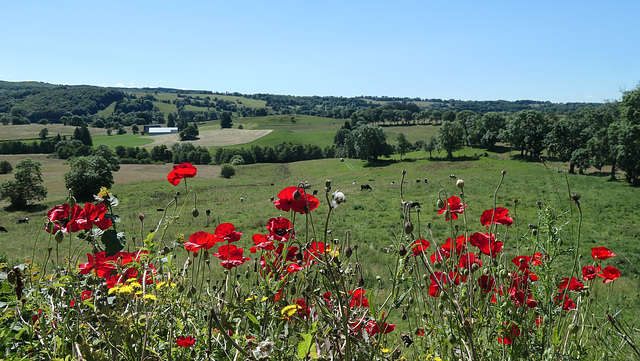 En Auvergne...