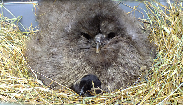 Maman et Bébé