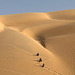 Dune sliding:) Dune sliding:)