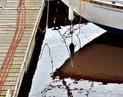 Marina Reflections