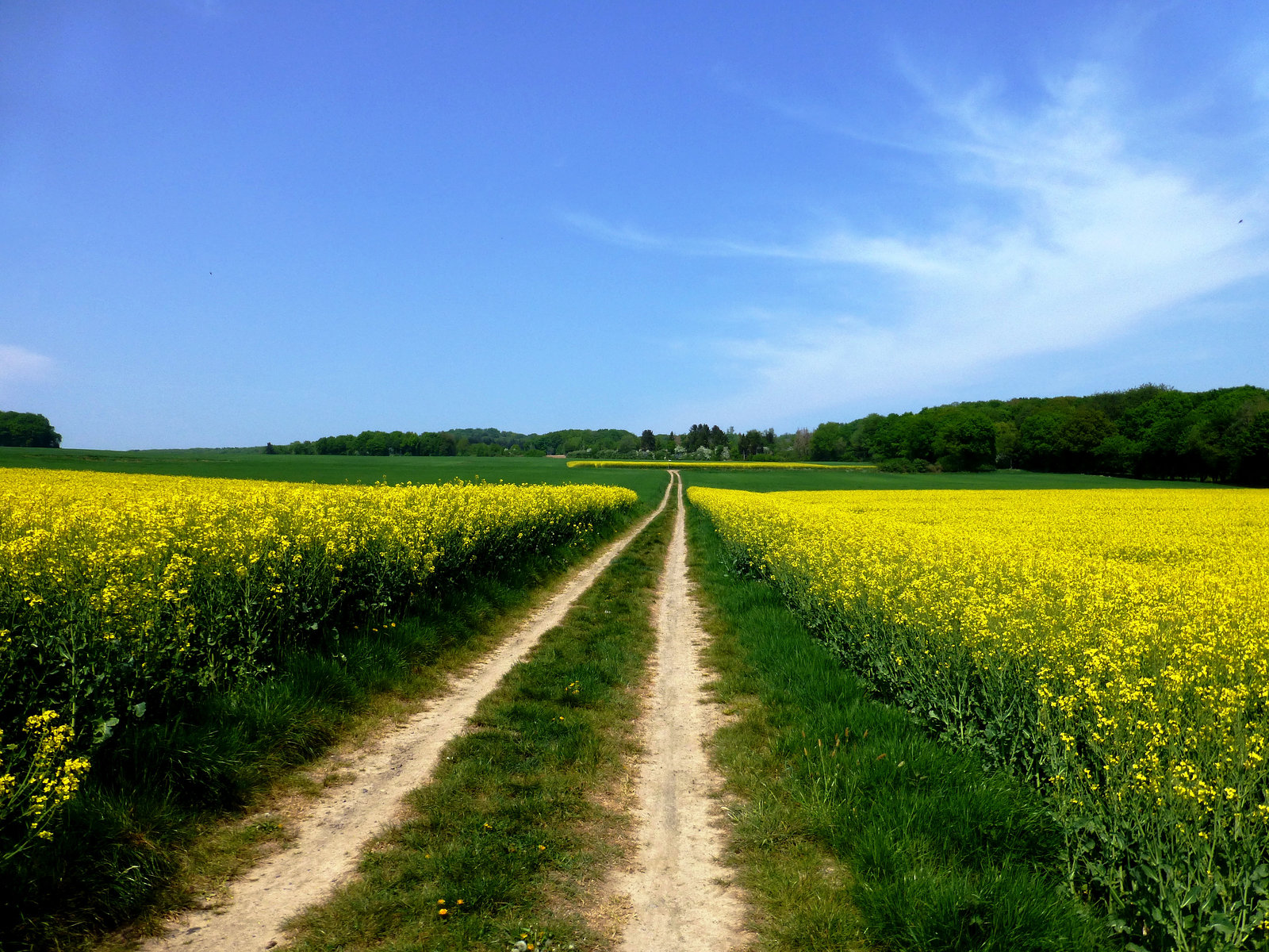 Auf dem Wanderweg Nr. 10