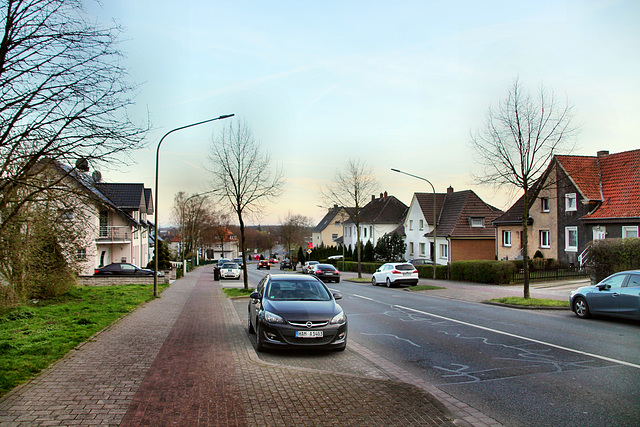 Münsterstraße (Hamm-Heessen) / 17.03.2020