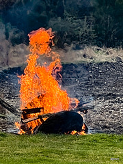 Garden Spring pyrotechnics