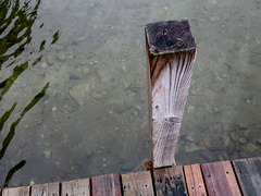 Wood, Water, Rocks, Ripples