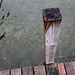 Wood, Water, Rocks, Ripples