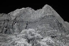 Zion