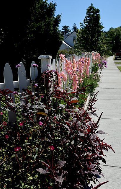 Pretty Fence Garden