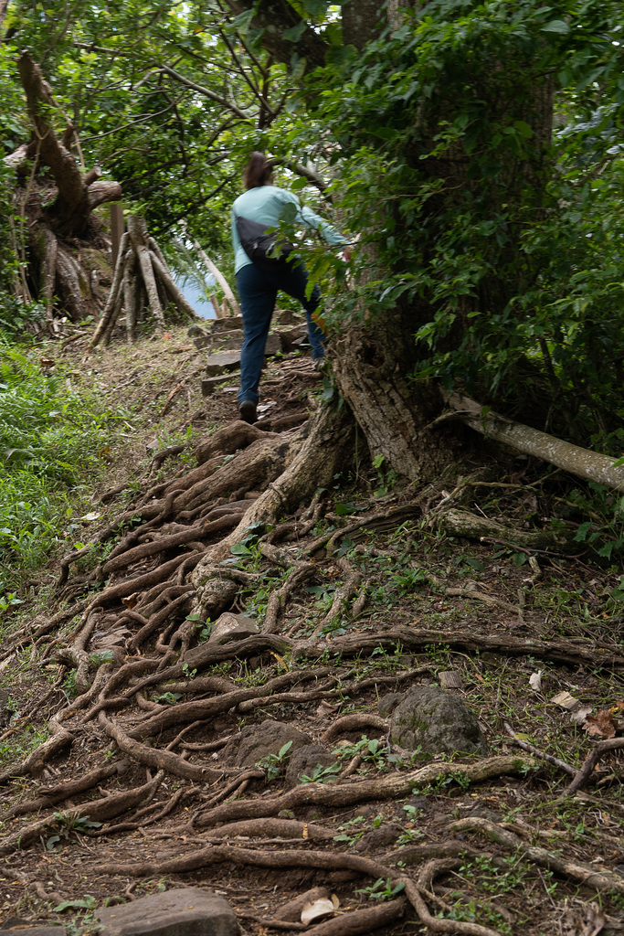 Last climb to the lookout point