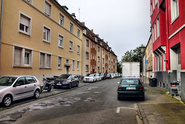 Veilchenstraße (Hamm) / 6.07.2024