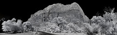 Zion