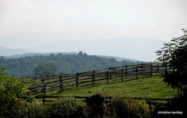 Weekly Photo Assignment - Fences