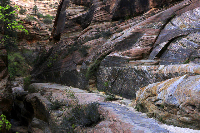 Echo Canyon, Zion National Park