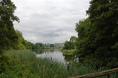Lake, Calwich Abbey, Staffordshire