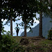 Andrea at the Three Pines Lookout