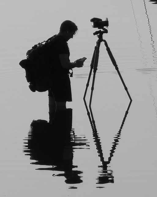 The Photographer