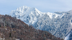 130210 Rochers-de-Naye