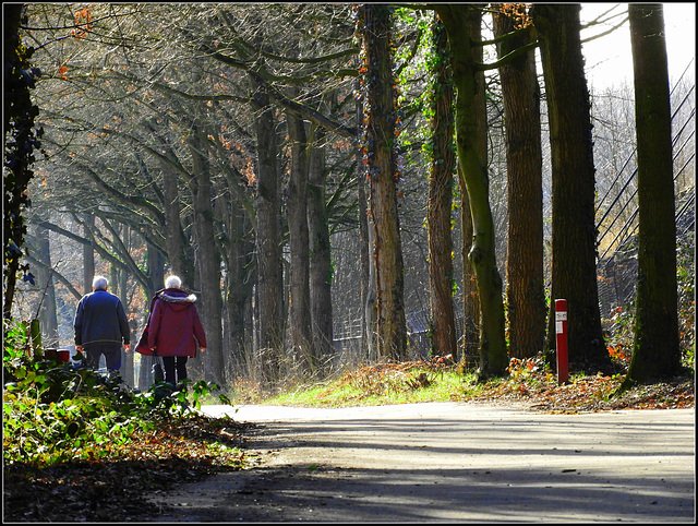 Walking Track