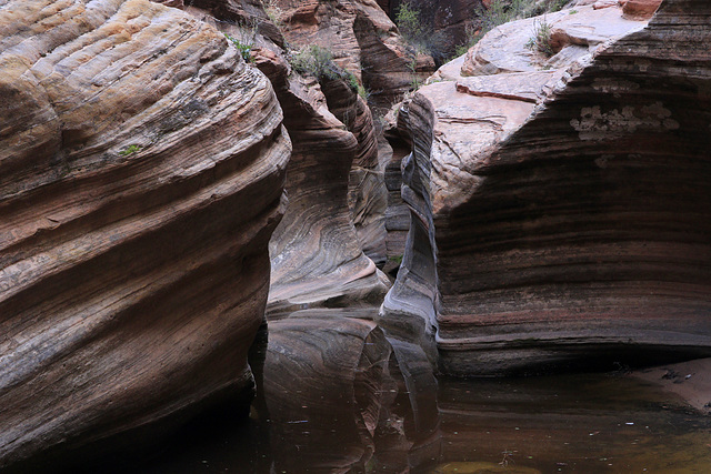 Echo Canyon, Zion National Park