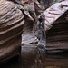 Echo Canyon, Zion National Park