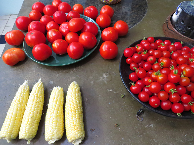 Dinner menu - corn and tomatoes